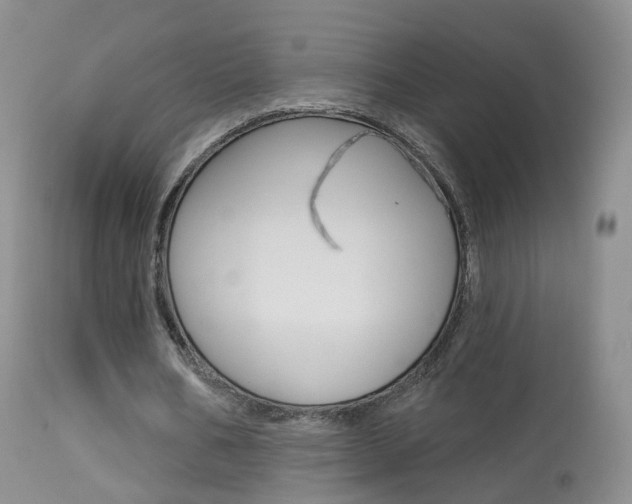 X0000113960578200909251028