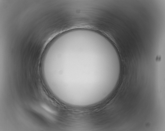 X0000113960579200909251028