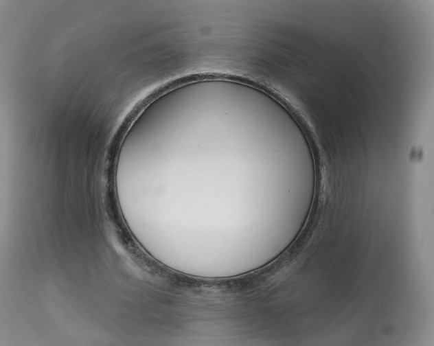 X0000113960580200909251028