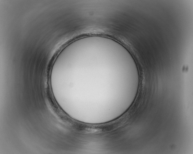 X0000113960582200909251028