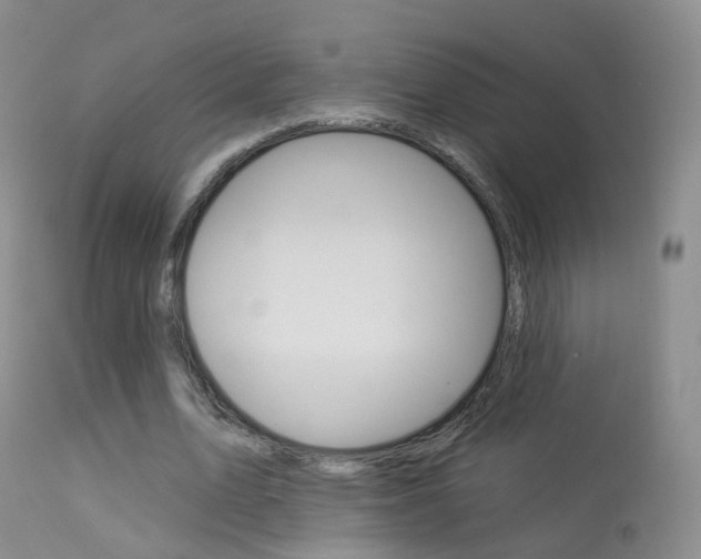 X0000113960583200909251028