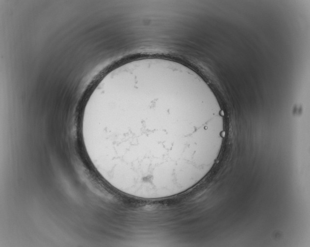X0000113960584200909251028