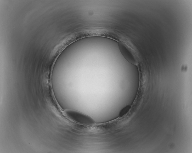 X0000113960585200909251028