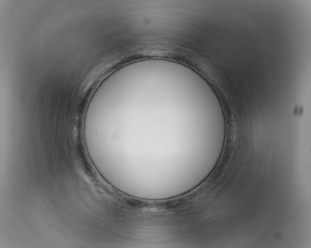 X0000113960586200909251028