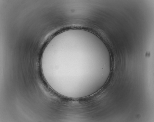 X0000113960588200909251028