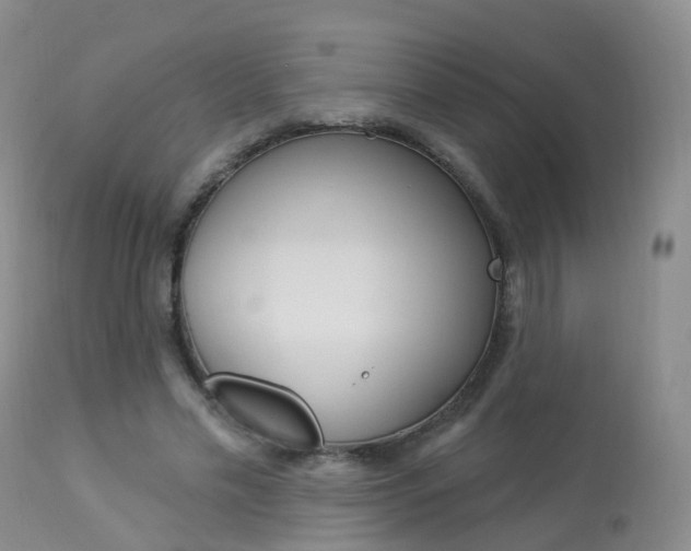 X0000113960589200909251028