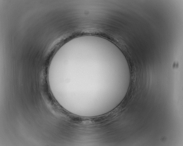 X0000113960591200909251028