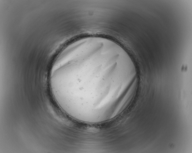 X0000113960592200909251028
