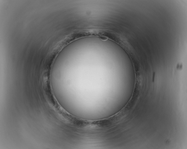 X0000113960593200909251028