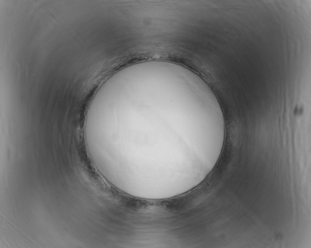 X0000113960594200909251028