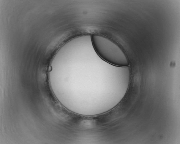 X0000113960595200909251028