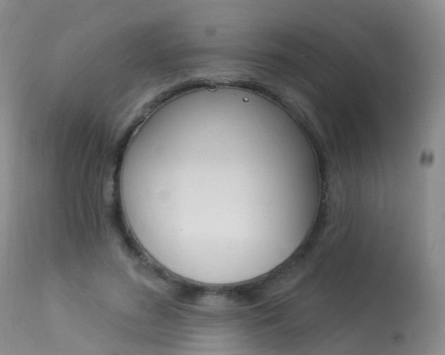 X0000113960596200909251028