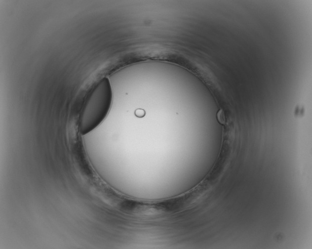 X0000113960597200909251028