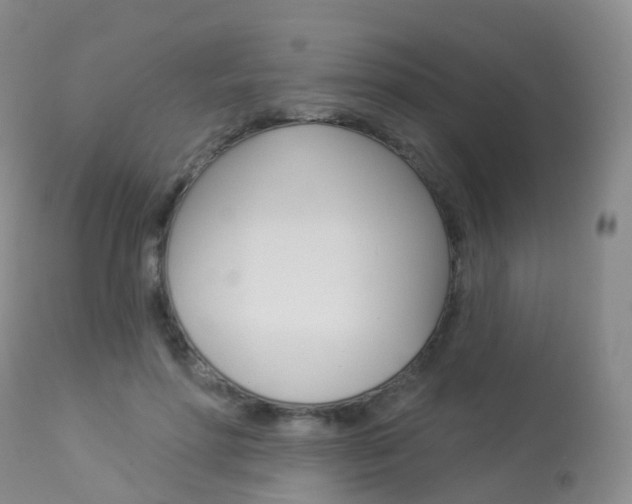 X0000113960598200909251028