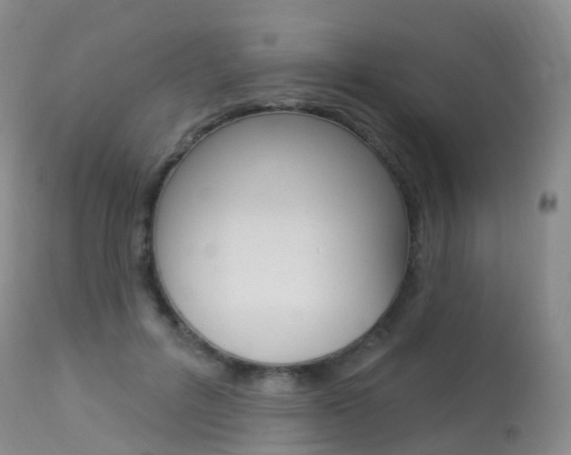 X0000113960600200909251028