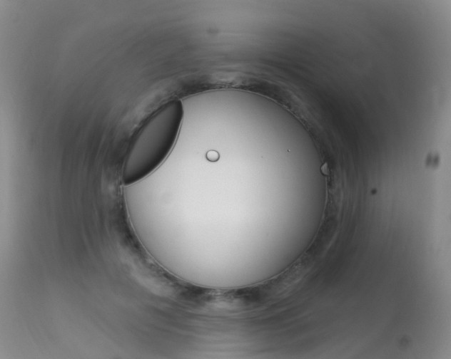 X0000113960601200909251028