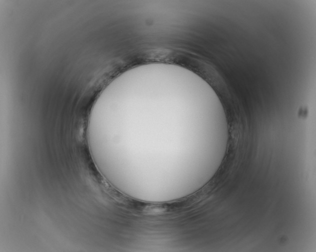 X0000113960602200909251028