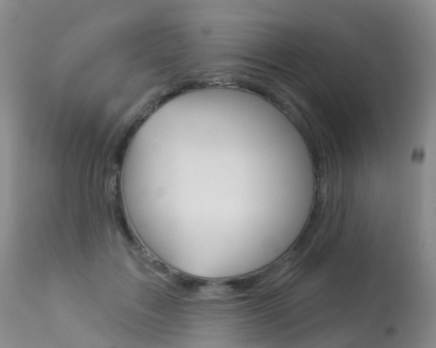 X0000113960603200909251028