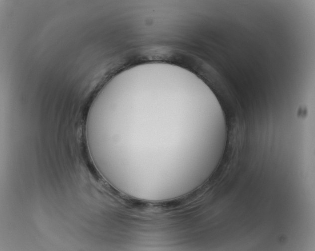 X0000113960604200909251028