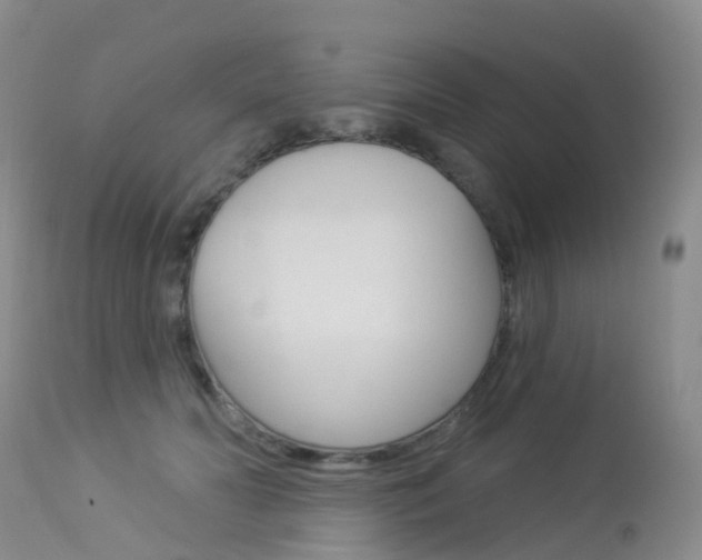 X0000113960606200909251028