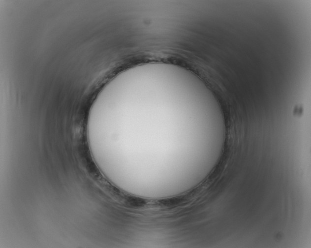 X0000113960608200909251028