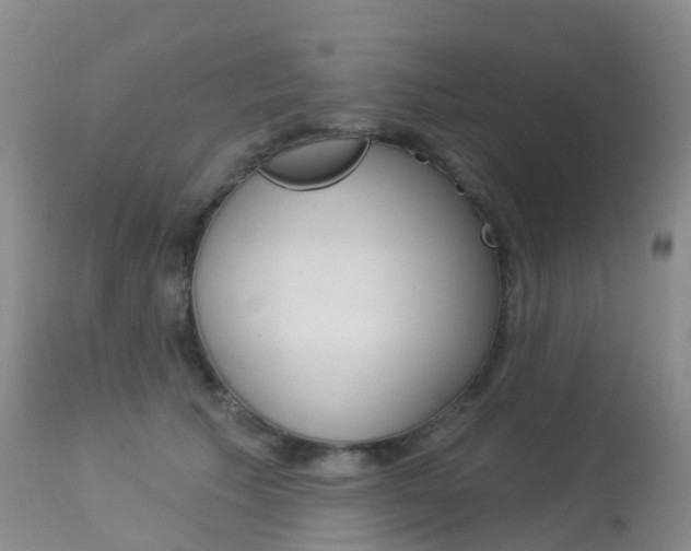 X0000113960609200909251028