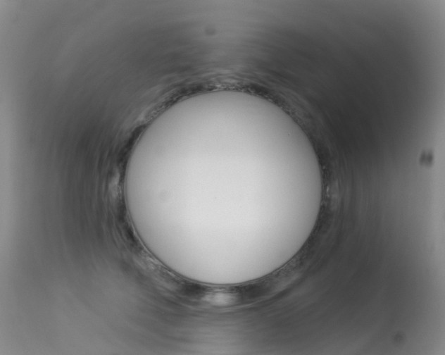 X0000113960610200909251028