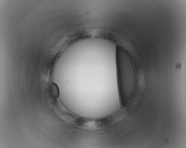 X0000113960611200909251028