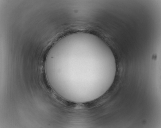 X0000113960612200909251028
