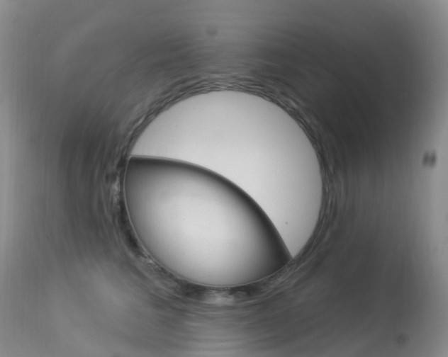 X0000113960613200909251028