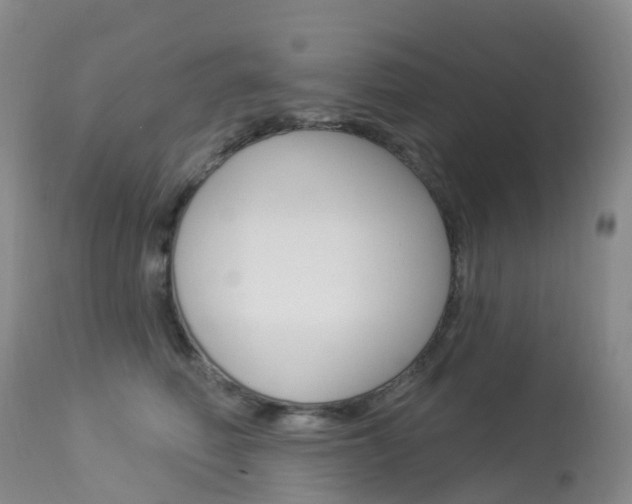 X0000113960614200909251028
