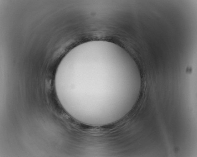 X0000113960615200909251028