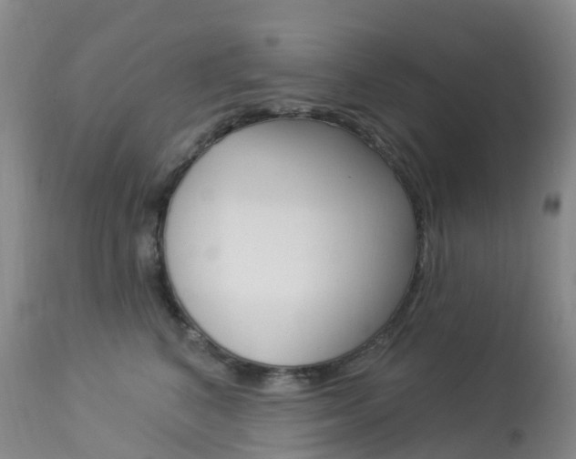 X0000113960616200909251028