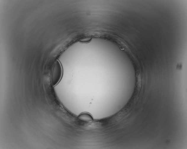 X0000113960617200909251028