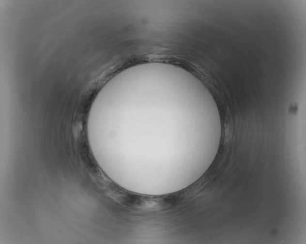 X0000113960618200909251028