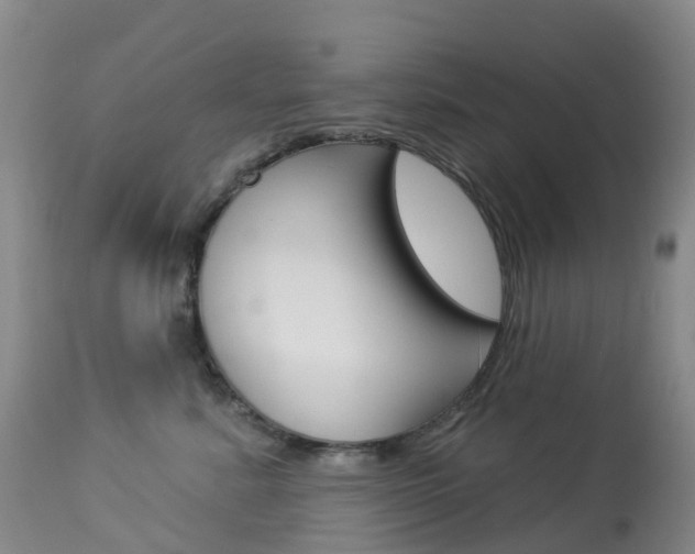 X0000113960619200909251028