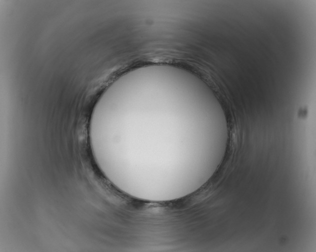 X0000113960620200909251028
