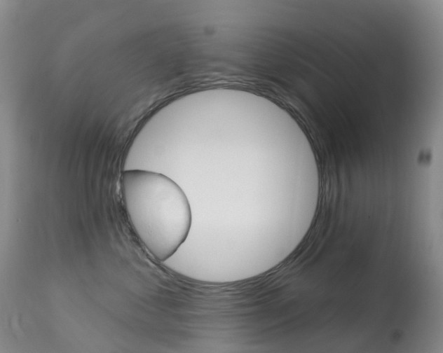 X0000113960621200909251028