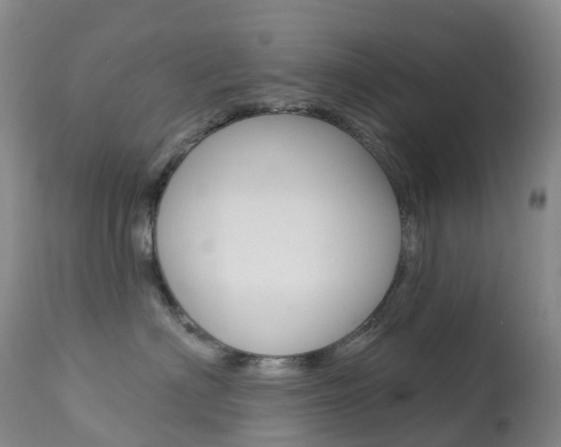 X0000113960622200909251028