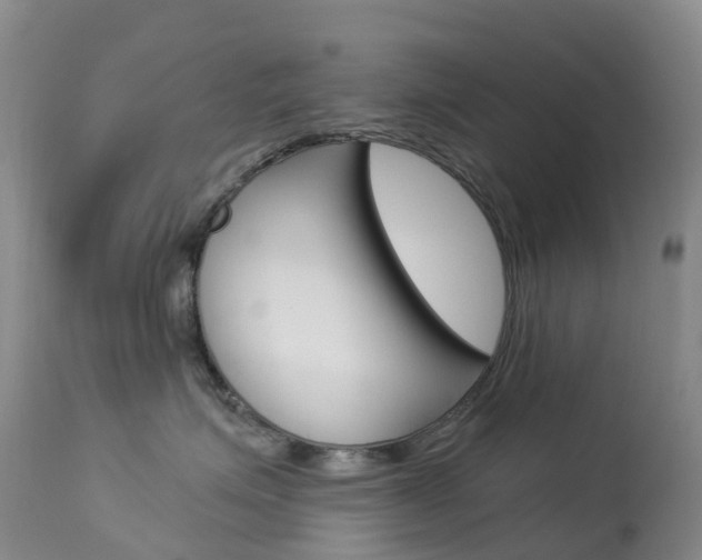 X0000113960623200909251028