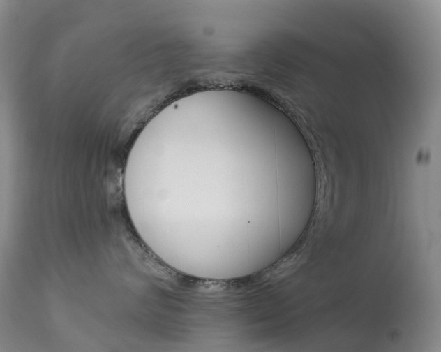 X0000113960624200909251028