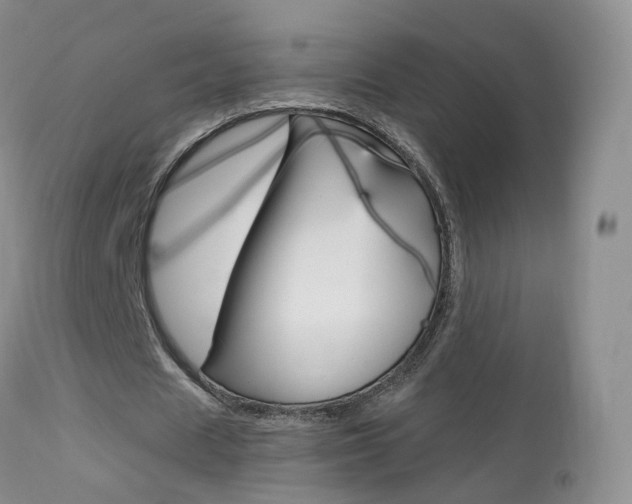 X0000113960625200909251027