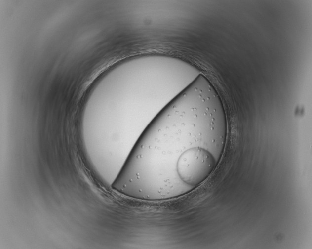 X0000113960626200909251027