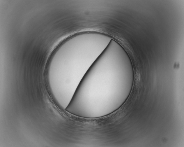 X0000113960628200909251027