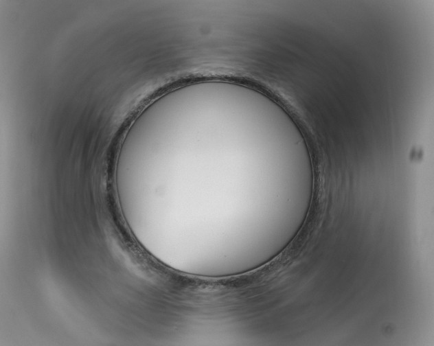 X0000113960631200909251027