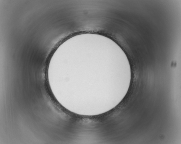 X0000113960632200909251027