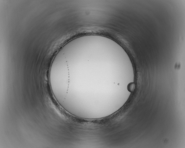 X0000113960633200909251027