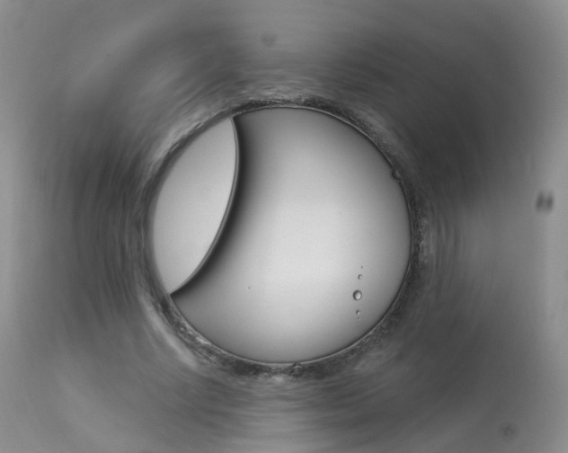 X0000113960634200909251027