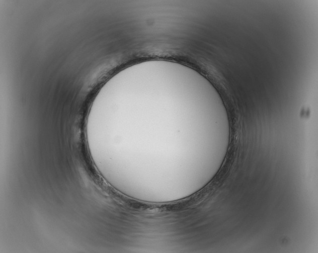 X0000113960635200909251027
