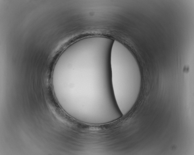 X0000113960636200909251027